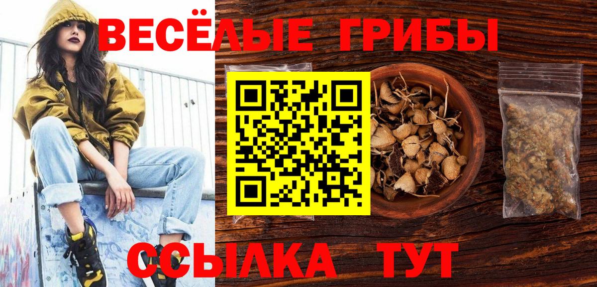Галлюциногенные грибы MAGIC MUSHROOMS Жигулёвск