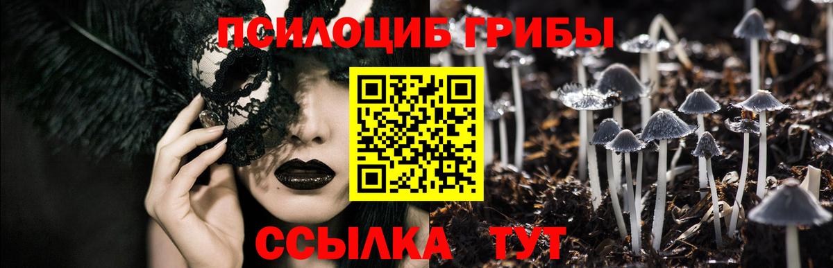 Жигулёвск  Галлюциногенные грибы прущие грибы  сколько стоит  Вход с VPN 